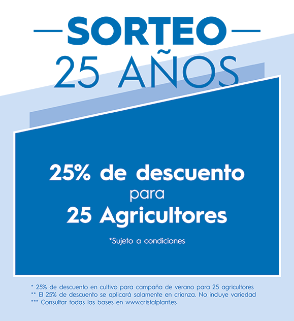 Sorteo 25 Aniversario. Bases Legales