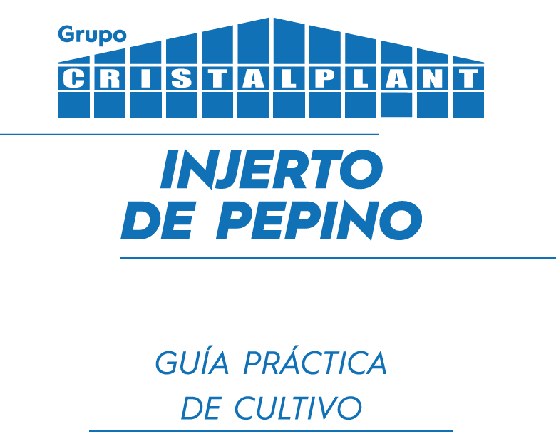 Cultivar Injerto de Pepino – Guía Práctica