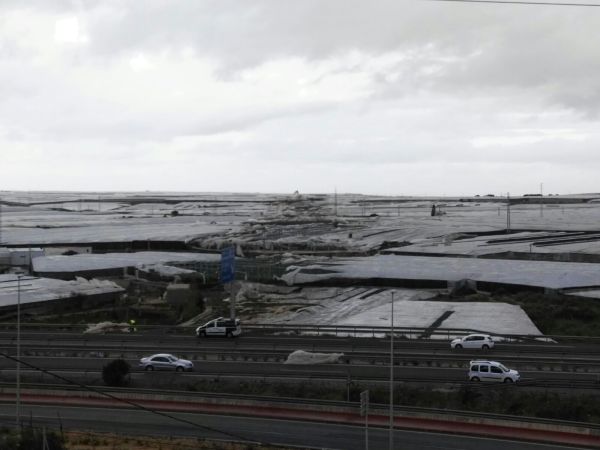 Unidos para Ayudar a los Afectados por el Tornado de El Ejido