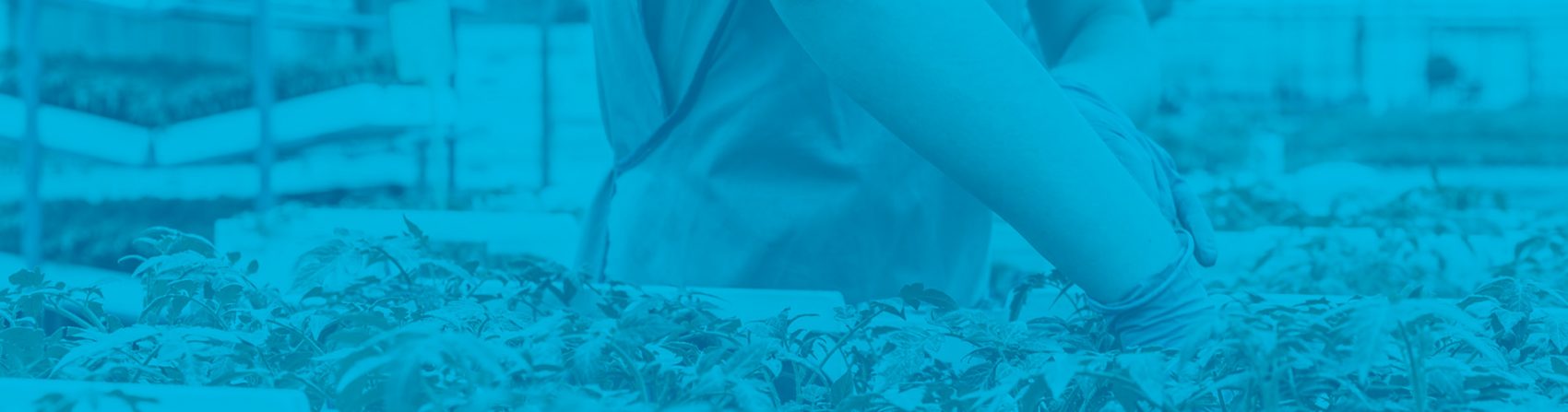 Nuevo portfolio