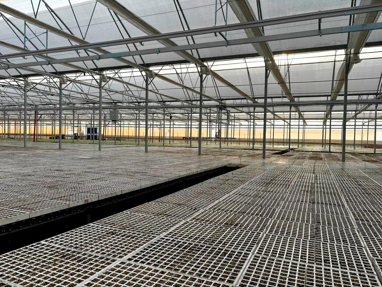 Cristalplant construye un nuevo invernadero con fondos Next Generation